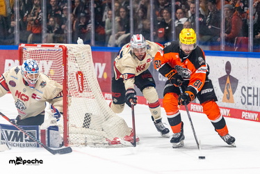 Löwen Frankfurt - Nürnberg IceTigers - 24.1.25 - 043