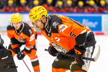 Löwen Frankfurt - Nürnberg IceTigers - 24.1.25 - 061