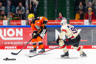 Löwen Frankfurt - Nürnberg IceTigers - 24.1.25 - 062