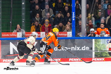 Löwen Frankfurt - Nürnberg IceTigers - 24.1.25 - 065