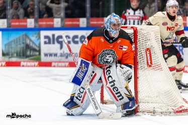 Löwen Frankfurt - Nürnberg IceTigers - 24.1.25 - 081