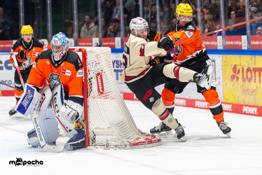 Löwen Frankfurt - Nürnberg IceTigers - 24.1.25 - 082