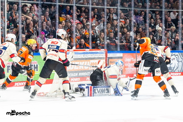 Löwen Frankfurt - Nürnberg IceTigers - 24.1.25 - 086