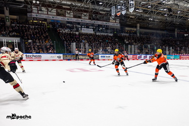 Löwen Frankfurt - Nürnberg IceTigers - 24.1.25 - 089