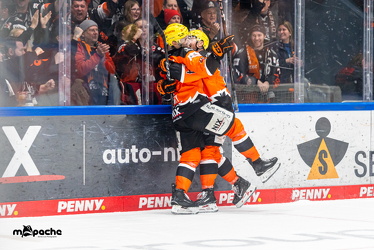 Löwen Frankfurt - Nürnberg IceTigers - 24.1.25 - 096