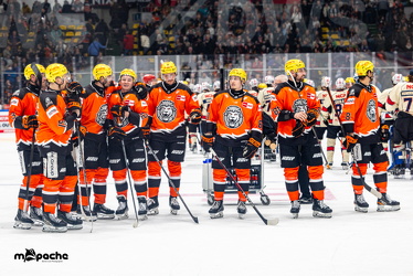 Löwen Frankfurt - Nürnberg IceTigers - 24.1.25 - 100
