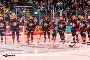 Löwen Frankfurt - Kölner Haie - 26.1.25 - 020