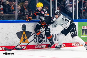 Löwen Frankfurt - Kölner Haie - 26.1.25 - 028