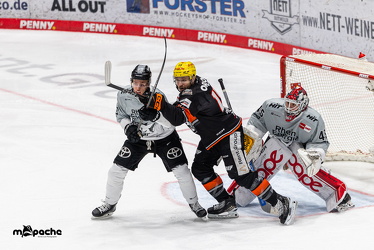 Löwen Frankfurt - Kölner Haie - 26.1.25 - 045