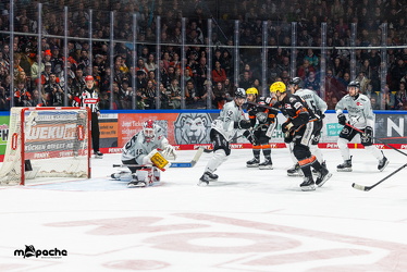 Löwen Frankfurt - Kölner Haie - 26.1.25 - 061