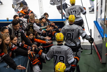 Löwen Frankfurt - Straubing Tigers - 2.2.25 - 010