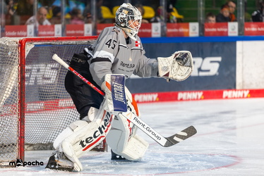 Löwen Frankfurt - Straubing Tigers - 2.2.25 - 015