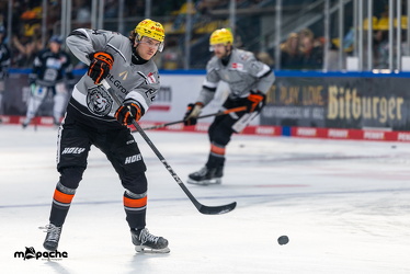 Löwen Frankfurt - Straubing Tigers - 2.2.25 - 019
