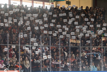 Löwen Frankfurt - Straubing Tigers - 2.2.25 - 041