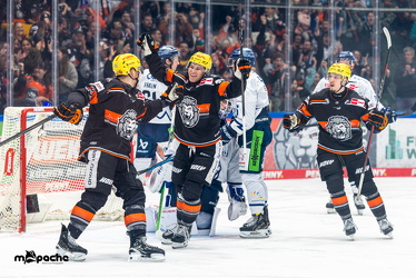 Löwen Frankfurt - Straubing Tigers - 2.2.25 - 046