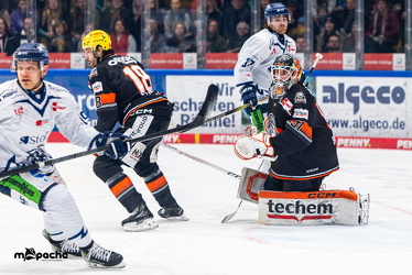 Löwen Frankfurt - Straubing Tigers - 2.2.25 - 054