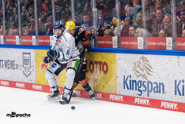 Löwen Frankfurt - Straubing Tigers - 2.2.25 - 055