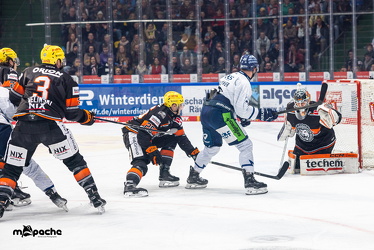 Löwen Frankfurt - Straubing Tigers - 2.2.25 - 056