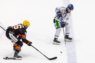 Löwen Frankfurt - Straubing Tigers - 2.2.25 - 064