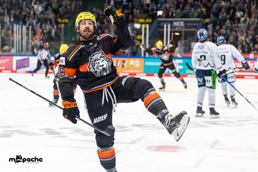 Löwen Frankfurt - Straubing Tigers - 2.2.25 - 069