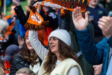 Löwen Frankfurt - Straubing Tigers - 2.2.25 - 072