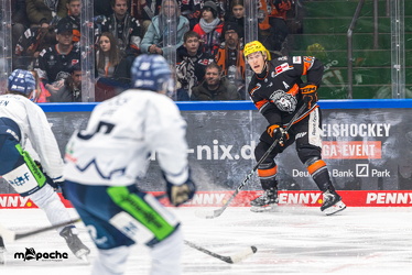 Löwen Frankfurt - Straubing Tigers - 2.2.25 - 099