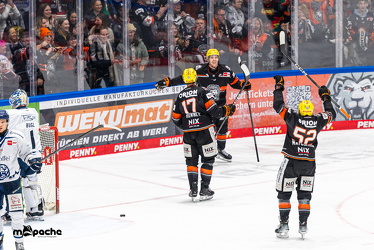 Löwen Frankfurt - Straubing Tigers - 2.2.25 - 110