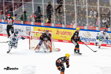 Löwen Frankfurt - Straubing Tigers - 2.2.25 - 124