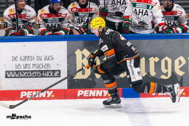 Löwen Frankfurt - Augsburher Panther - 14.2.25 - 070