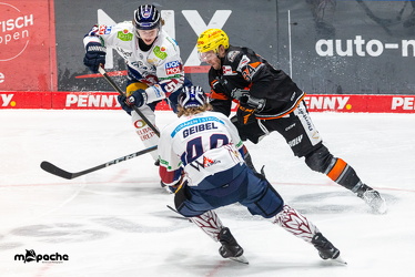Löwen Frankfurt - Eisbären Berlin - 19.2.25 - 048