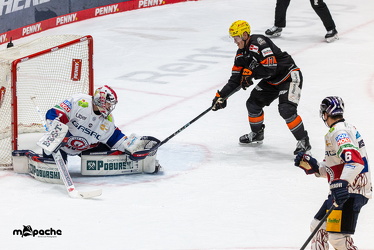 Löwen Frankfurt - Eisbären Berlin - 19.2.25 - 072