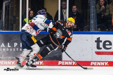 Löwen Frankfurt - Eisbären Berlin - 19.2.25 - 097