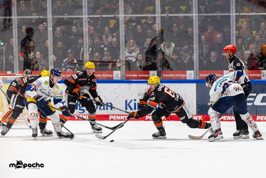 Löwen Frankfurt - Eisbären Berlin - 19.2.25 - 102
