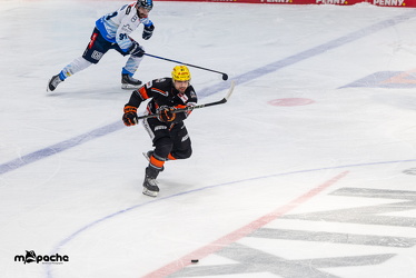Löwen Frankfurt - ERC Ingolstadt - 2.3.25 - 039