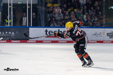 Löwen Frankfurt - ERC Ingolstadt - 2.3.25 - 046