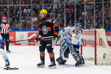 Löwen Frankfurt - ERC Ingolstadt - 2.3.25 - 052