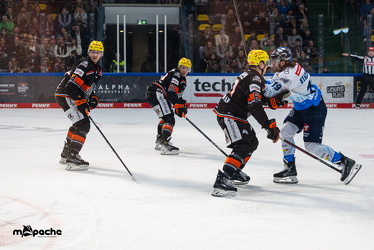 Löwen Frankfurt - ERC Ingolstadt - 2.3.25 - 067