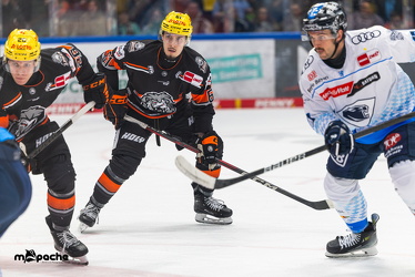 Löwen Frankfurt - ERC Ingolstadt - 2.3.25 - 068