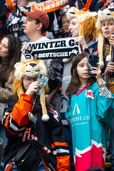 Löwen Frankfurt - ERC Ingolstadt - 2.3.25 - 093