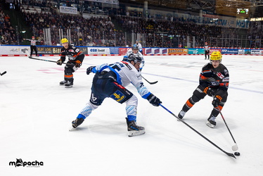 Löwen Frankfurt - ERC Ingolstadt - 2.3.25 - 097