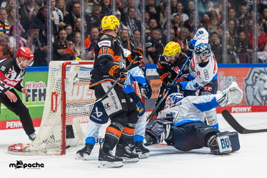 Löwen Frankfurt - ERC Ingolstadt - 2.3.25 - 100
