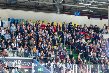 Löwen Frankfurt - ERC Ingolstadt - 2.3.25 - 107