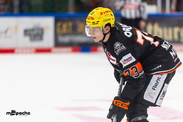 Löwen Frankfurt - ERC Ingolstadt - 2.3.25 - 108