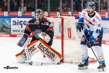 Löwen Frankfurt - ERC Ingolstadt - 2.3.25 - 111