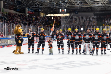 Löwen Frankfurt - ERC Ingolstadt - 2.3.25 - 120