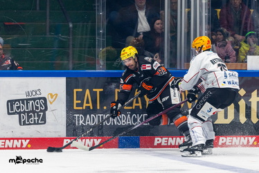 Löwen Frankfurt - Fishtown Pinguins - 26.2.25 - 024