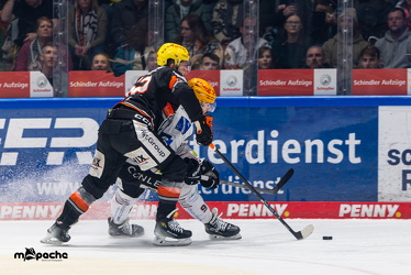 Löwen Frankfurt - Fishtown Pinguins - 26.2.25 - 028