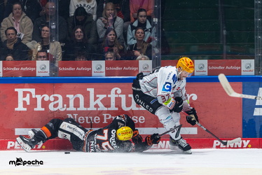 Löwen Frankfurt - Fishtown Pinguins - 26.2.25 - 031