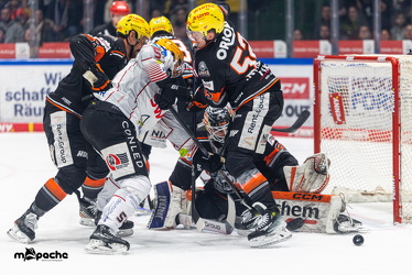 Löwen Frankfurt - Fishtown Pinguins - 26.2.25 - 034