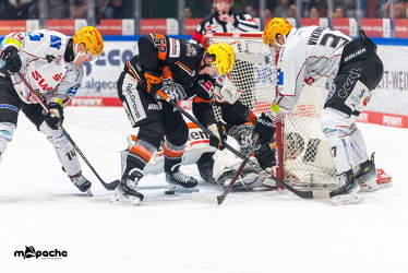 Löwen Frankfurt - Fishtown Pinguins - 26.2.25 - 035